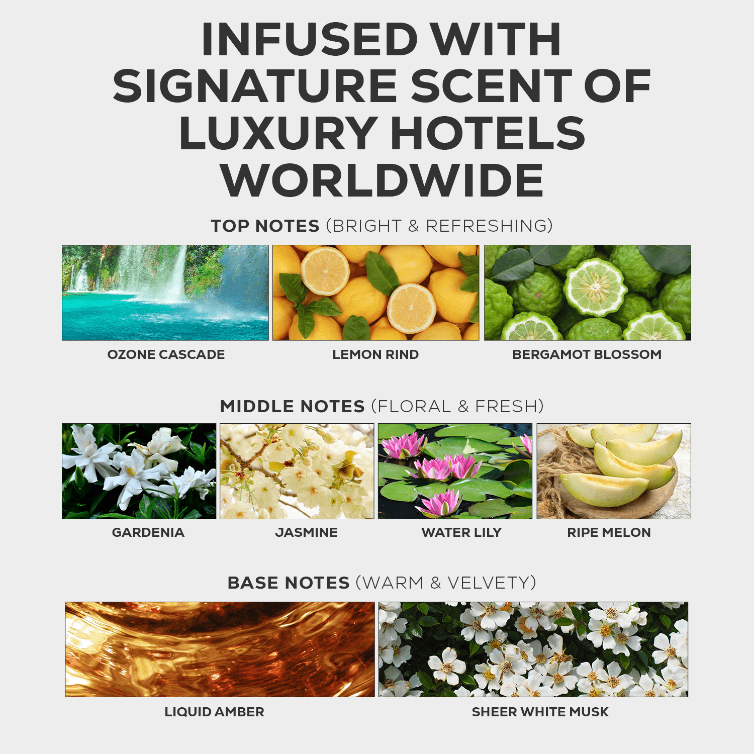 Fragrance profile of Luxury Hotel scent with ozone cascade, lemon rind, gardenia, jasmine, liquid amber, and sheer white musk