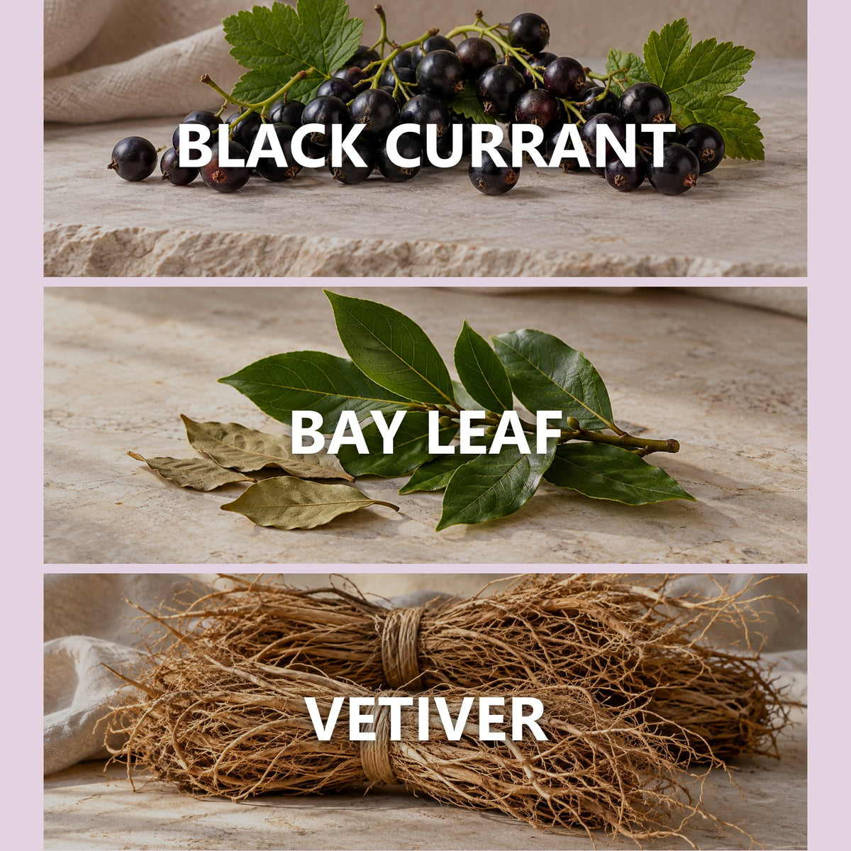 Black Currant and Bay scent notes: black currant, bay leaf, vetiver