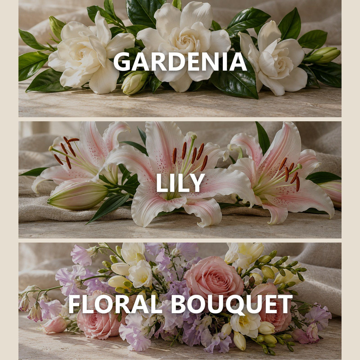 Gardenia Lily scent notes