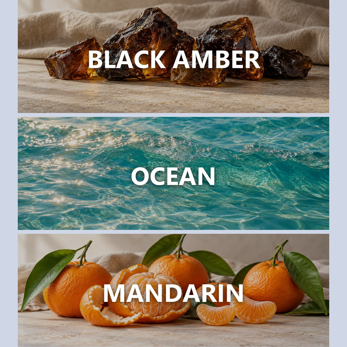 Midnight Pearl scent notes