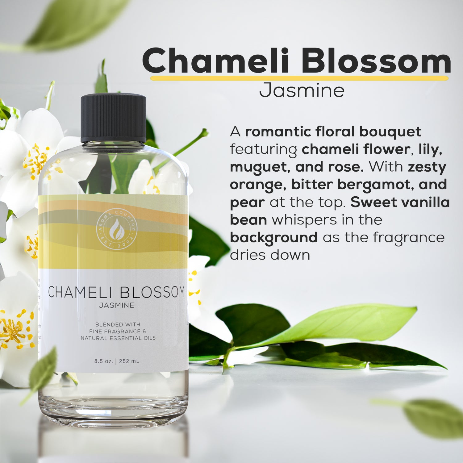 Chameli Blossom - Jasmine