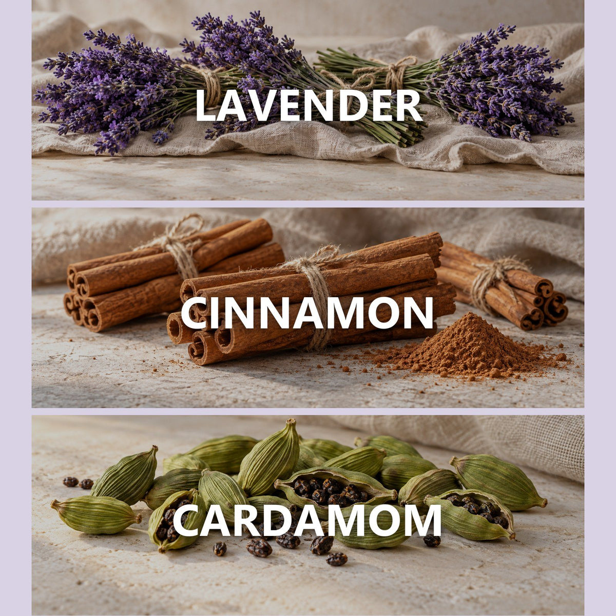 Lavender Spice scent notes
